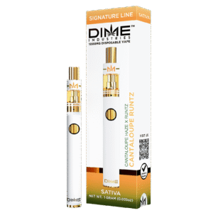 Dime Industries Cantaloupe Runtz 1000mg All In One Device - Dime Extracts